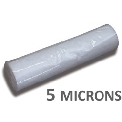 Filtre de rechange pour pompe de filtration, 5 microns (sortie d'eau).