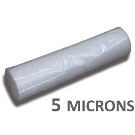 Filtre de rechange pour pompe de filtration, 5 microns (sortie d'eau).