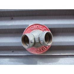 Outer threaded plastic cap for fire department (Siamese) connection, 2.5 inch, with chain for Quebec