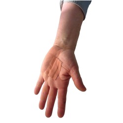 Elastic fabric bandage roll, 4 cm x 5 m (1.5 in x 16 ft), to cut as needed.