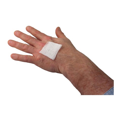 Non-sterile gauze pads, 2 x 2 in, 200/box.