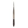 Simple splinter tweezers, 3 1/2 in (8.9 cm).