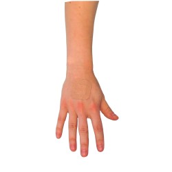 Pansements carrés en tissu élastique, 3.75 cm (1.5 po), 50/bte.