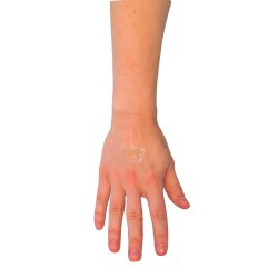 3M Nexcare water-resistant clear bandages, assorted sizes, 30/box.