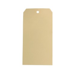 Cardstock monthly inspection tag, for fire extinguishers, labelling in French, covering 1 year.