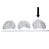 Bonnet jetable blanc 24 po.(100)
