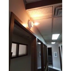 Ampoule 130 V T10 avec large base pour éclairage d'urgence