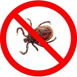 Kit for the removal of ticks