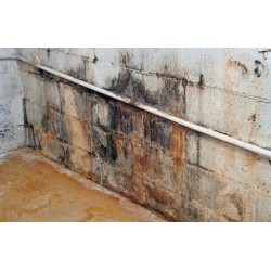 Détachant ultra-puissant MMR à base d’hypochlorite de sodium pour éliminer les taches de moisissures. 1 gal US/bouteille