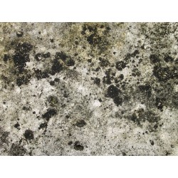 Nettoyant & détachant Advanced Peroxide Cleaner de Fiberlock Technologies contre les taches de moisissures. 2,5 gal US.