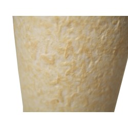 Filtre de sortie HEPA 0,3 micron pour RA9806, RA9821 et RA9832 pompe à air ambiant basse pression Allegro.