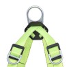 Contractor Peakworks harness for ladder, controlled descent and confined space, 6 D-rings class A, P, L, E