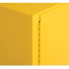 Flammable liquids storage cabinet, 30 US gallons (114 L), ULC-approved.
